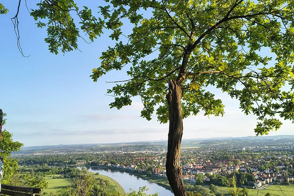 Authentischer Reisemoment in Dresden – passend zu Günstige Busreise Dresden – Route & Leistungen