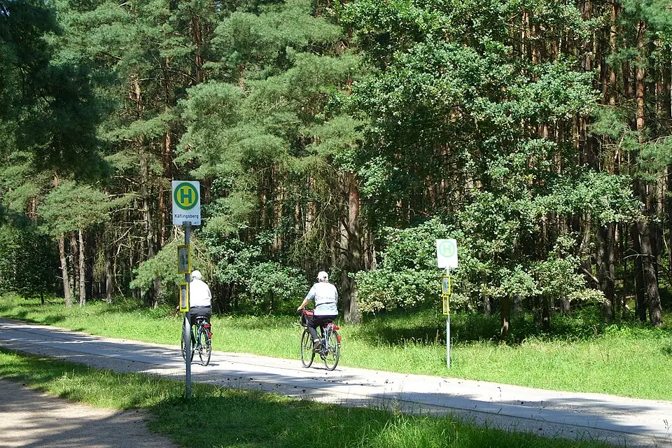 Landschaft und Sehenswürdigkeiten in Mecklenburgischen Seenplatte für Busreise Mecklenburgische Seenplatte 7 Tage – ehrlich eingeordnet