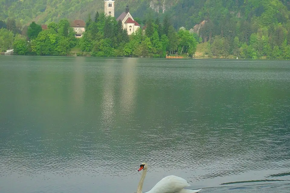 Landschaft und Sehenswürdigkeiten in Slowenien für Genussreise Slowenien mit dem Bus – ehrlich eingeordnet