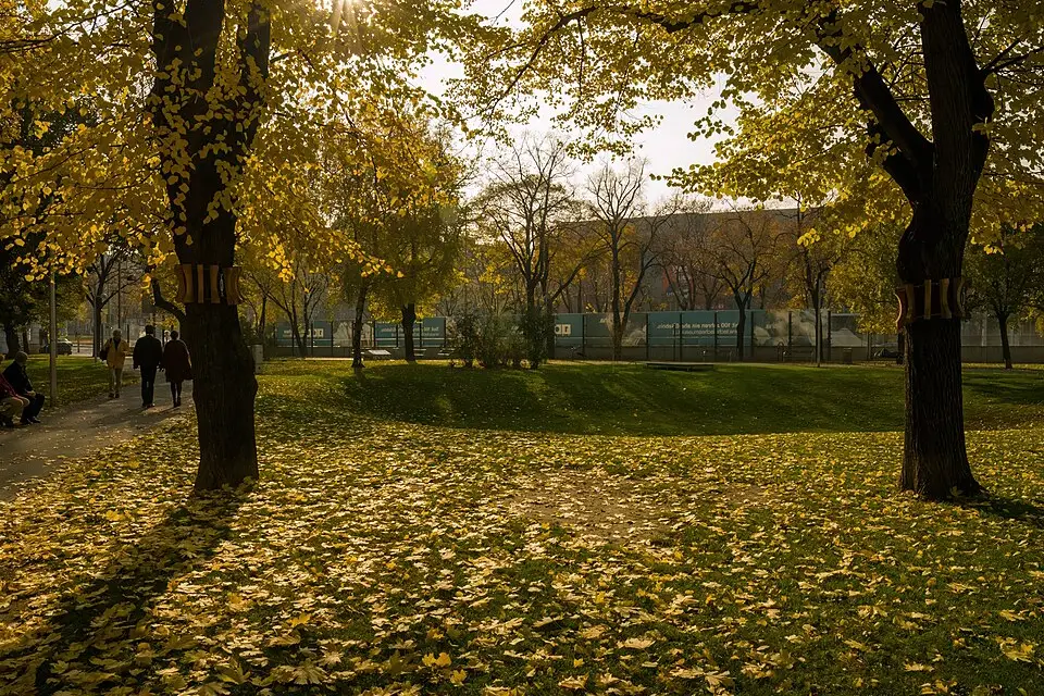Authentischer Reisemoment in Wien – passend zu Busreise Wien übers Wochenende – Reiseguide