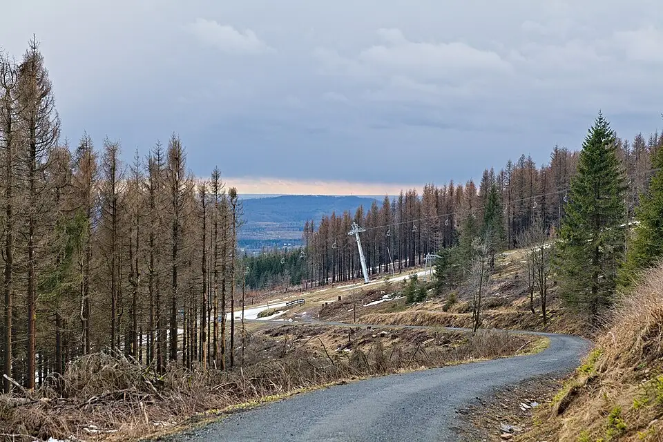 Landschaft und Sehenswürdigkeiten in Harz für Busreise Harz ab Stuttgart – Route & Leistungen