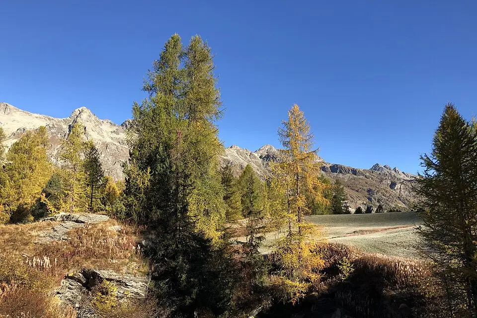 Stimmungsvolle Reiseansicht aus Engadin für Beste Reisezeit für eine Busreise Engadin – Reisecheck