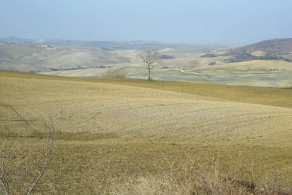 Stimmungsvolle Reiseansicht aus Toskana für Genussreise Toskana mit dem Bus – Route & Leistungen