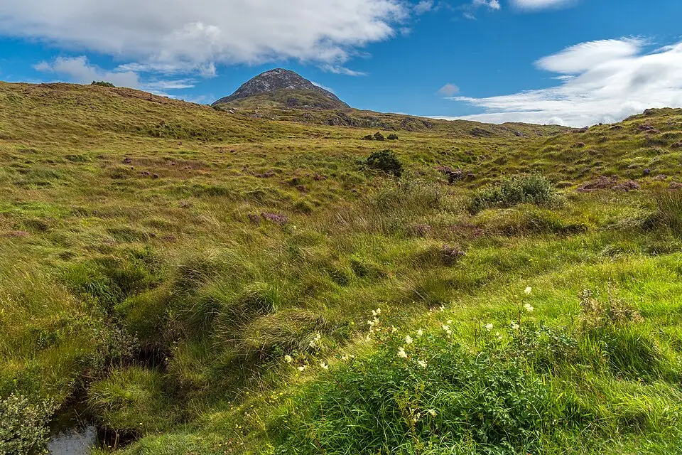 Landschaft und Sehenswürdigkeiten in Irland für Busreise Irland für Paare – ehrlich eingeordnet