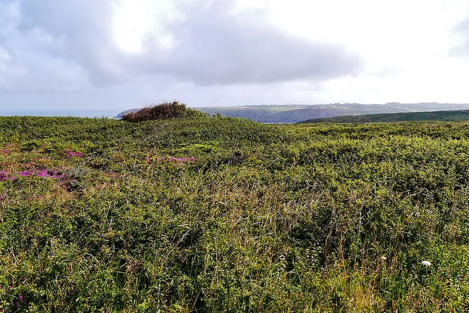 Landschaft und Sehenswürdigkeiten in Bretagne für Barrierearme Busreise Bretagne – ehrlich eingeordnet