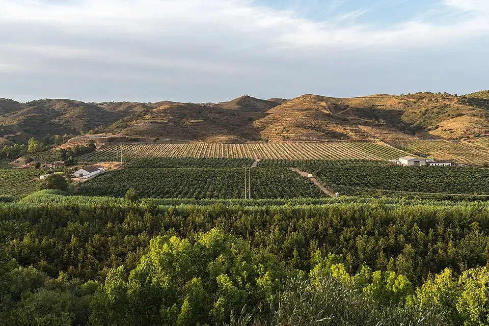 Authentischer Reisemoment in Algarve – passend zu Kurzreise Algarve mit dem Bus – Reiseguide