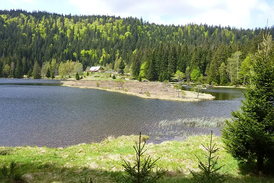 Stimmungsvolle Reiseansicht aus Bayerischen Wald für Busreise Bayerischer Wald übers Wochenende – Dauer & Komfort