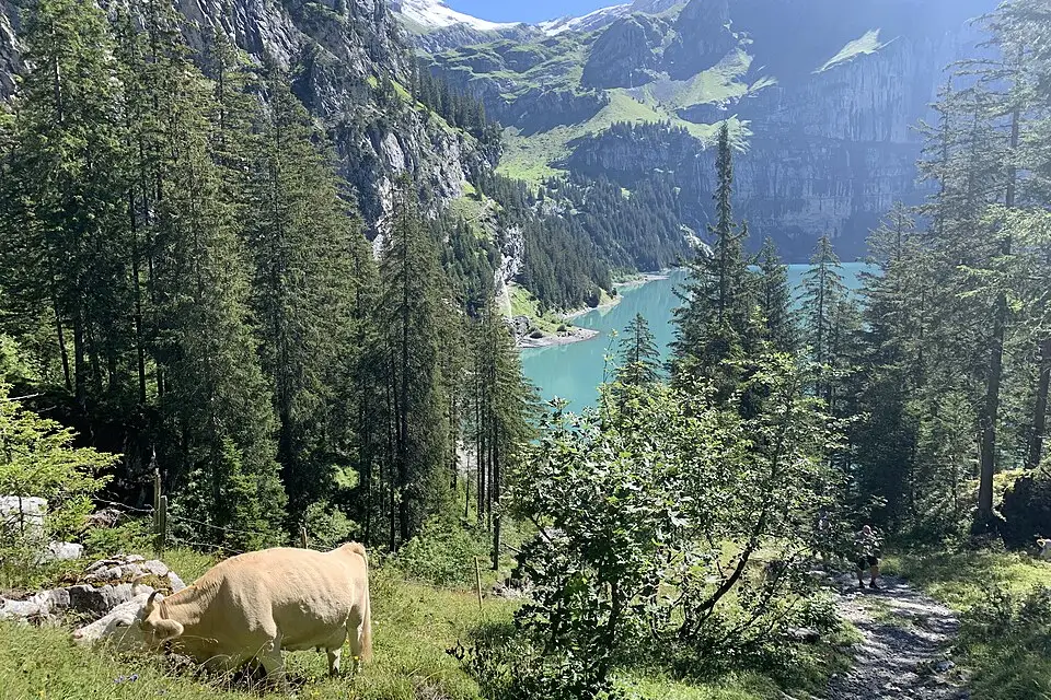 Stimmungsvolle Reiseansicht aus Berner Oberland für Busreise Berner Oberland Angebote vergleichen – Reisecheck