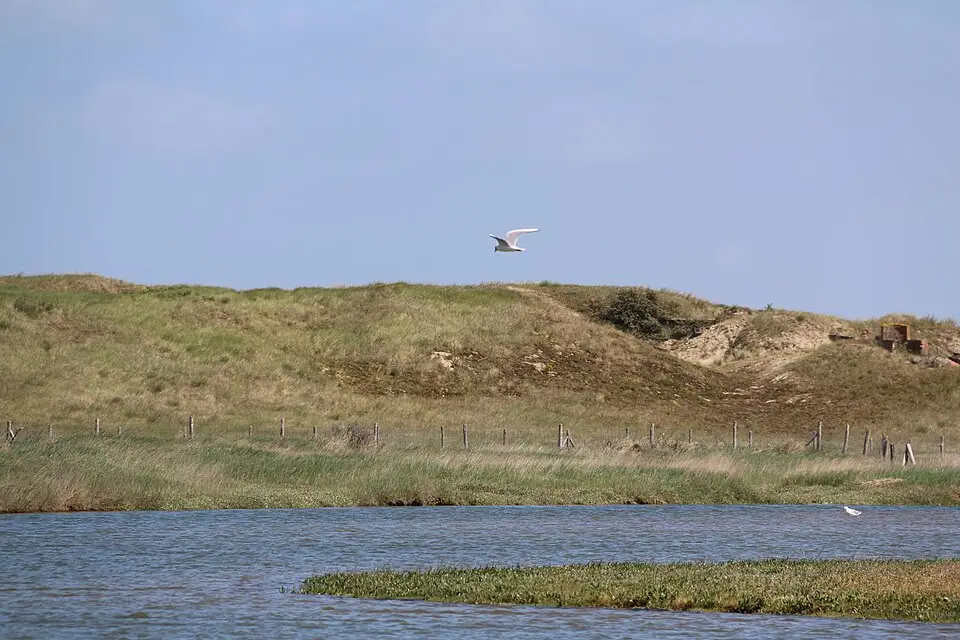 Landschaft und Sehenswürdigkeiten in Flandern für Standortreise Flandern mit dem Bus – Dauer & Komfort