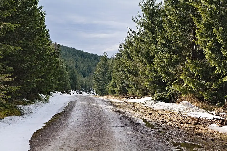 Landschaft und Sehenswürdigkeiten in Harz für Busreise Harz für Alleinreisende – Reisecheck