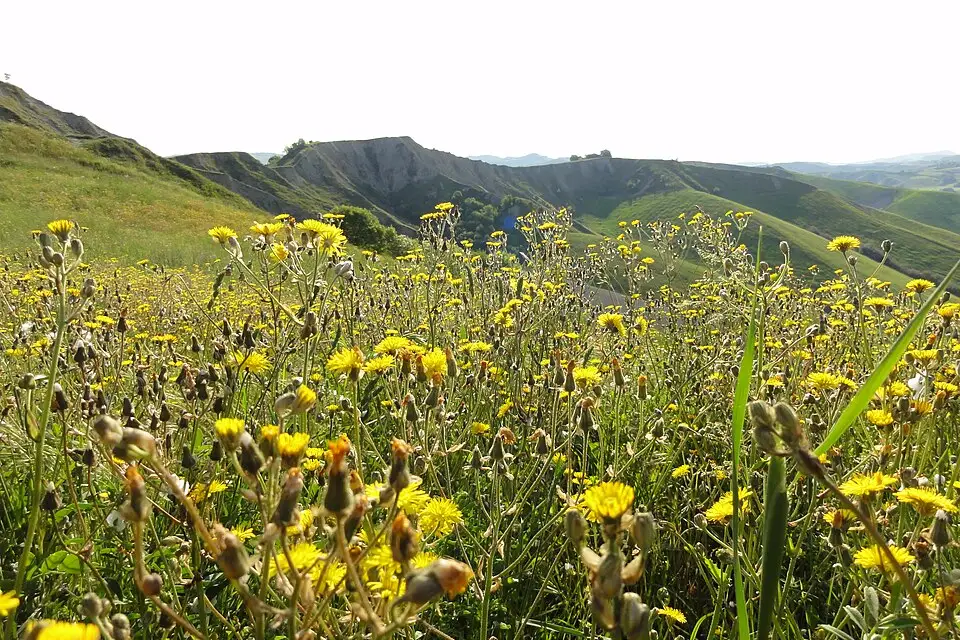 Landschaft und Sehenswürdigkeiten in Emilia Romagna für Kulturreise Emilia-Romagna mit dem Bus – Reisecheck