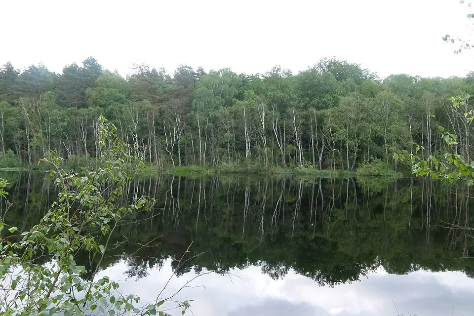 Stimmungsvolle Reiseansicht aus Mecklenburgischen Seenplatte für Mecklenburgische Seenplatte – Panorama-Busreise