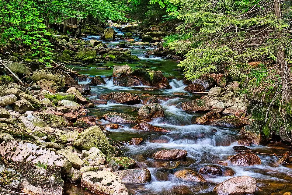 Landschaft und Sehenswürdigkeiten in Harz für Busreise Harz in kleiner Gruppe – Reiseguide