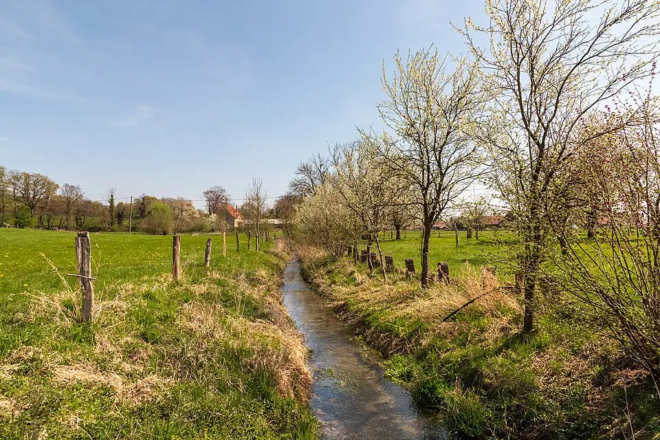 Stimmungsvolle Reiseansicht aus Rhein für Premium Busreise Romantischer Rhein – Reiseguide