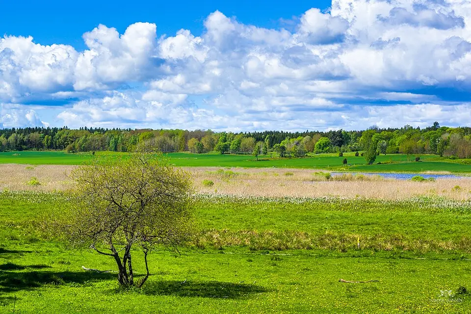 Landschaft und Sehenswürdigkeiten in Stockholm für Vereinsreise Stockholm mit dem Bus – Tipps zur Auswahl