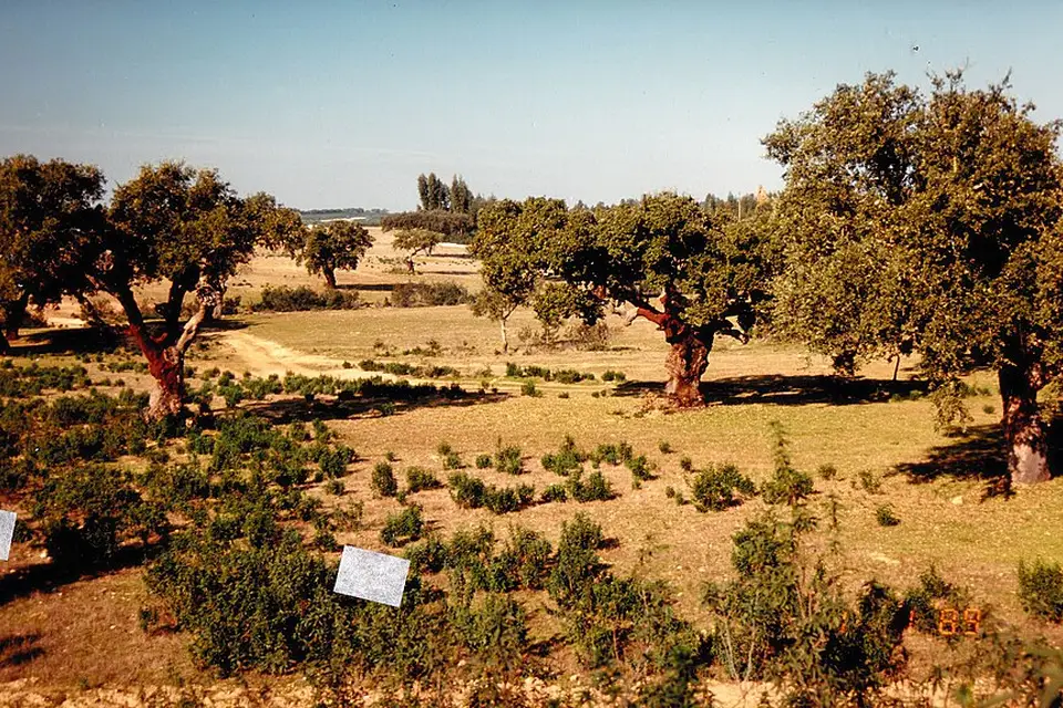 Landschaft und Sehenswürdigkeiten in Algarve für Busreise Algarve für Familien – Route & Leistungen