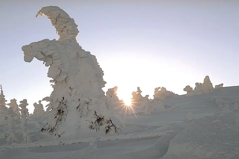 Stimmungsvolle Reiseansicht aus Harz für Busreise Harz ohne Nachtfahrt – Reisecheck