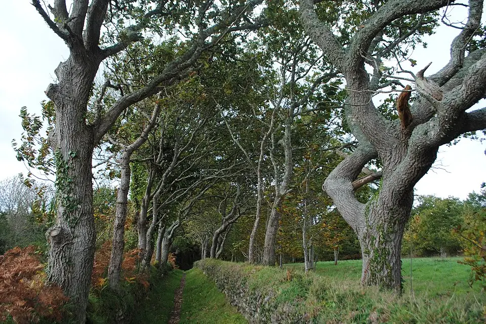 Authentischer Reisemoment in Bretagne – passend zu Busreise Bretagne im Frühling – Route & Leistungen