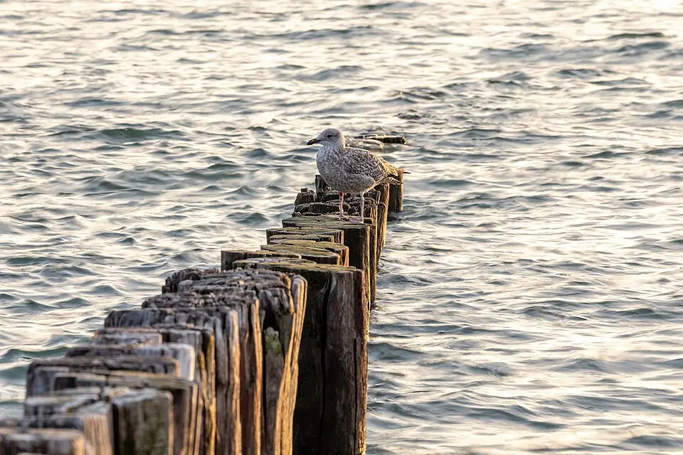 Authentischer Reisemoment in Zeeland – passend zu Kurzreise Zeeland mit dem Bus – Tipps zur Auswahl