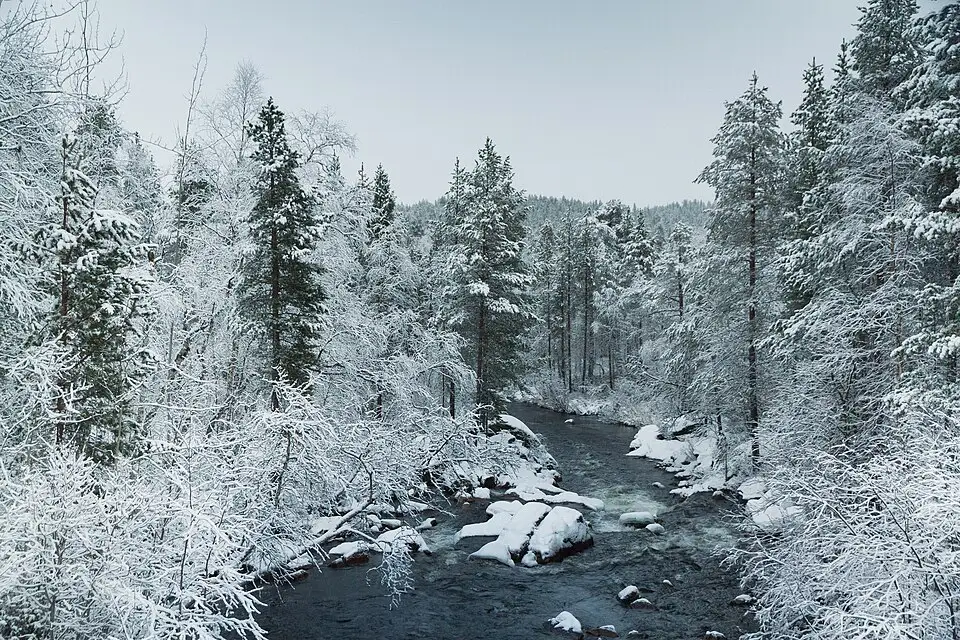 Authentischer Reisemoment in Finnland – passend zu Busreise Finnland für Senioren mit Haustürabholung – Reisecheck
