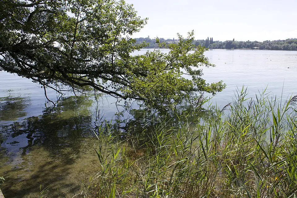 Stimmungsvolle Reiseansicht aus Bodensee für Wellnessreise Bodensee mit dem Bus – Dauer & Komfort