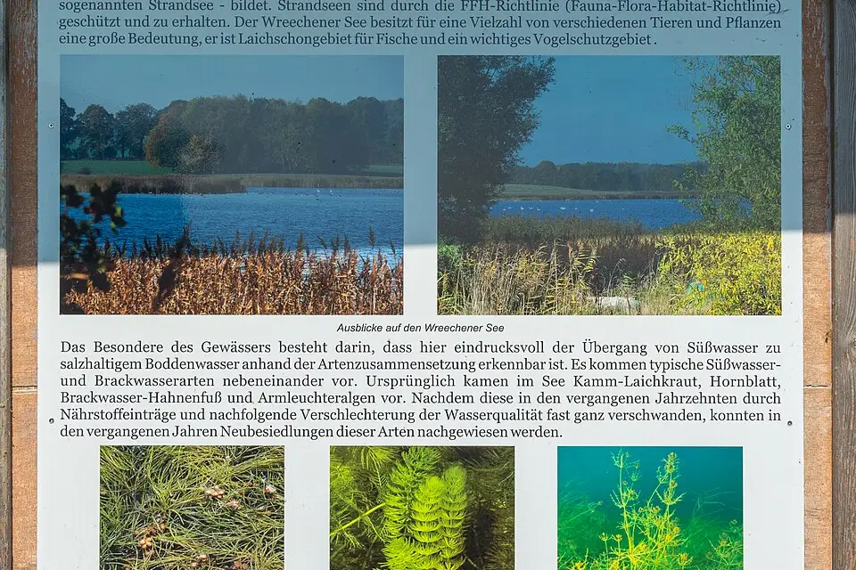Stimmungsvolle Reiseansicht aus Mecklenburgischen Seenplatte für Mecklenburgische Seenplatte – Reisezeit-Ratgeber
