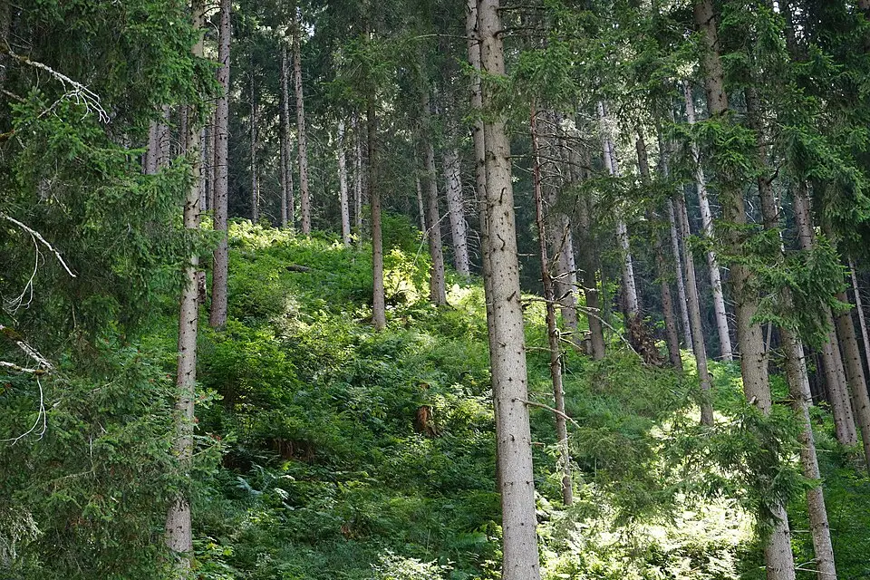 Stimmungsvolle Reiseansicht aus Tirol für Busreise Tirol für Familien – Tipps zur Auswahl