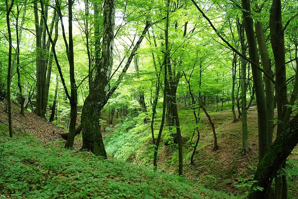 Landschaft und Sehenswürdigkeiten in Krakau für Naturreise Krakau mit dem Bus – Reisecheck