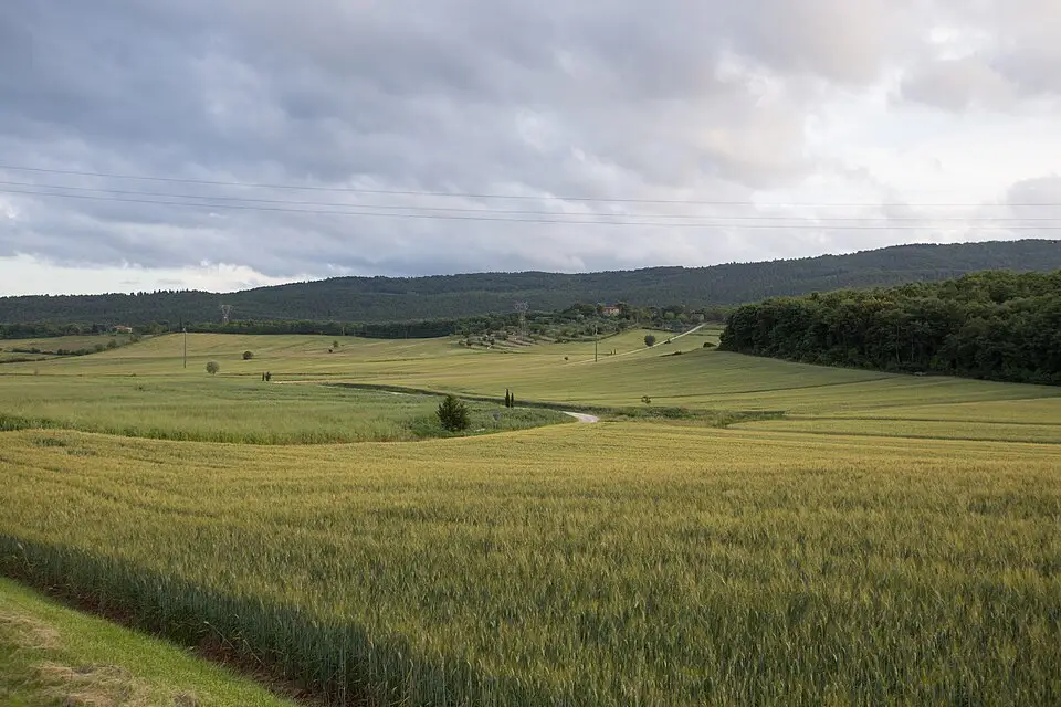 Landschaft und Sehenswürdigkeiten in Toskana für Adventsreise Toskana mit dem Bus – Reiseguide