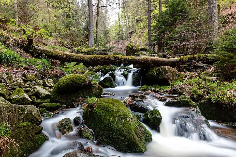 Stimmungsvolle Reiseansicht aus Harz für Busreise Harz im Frühling – Reiseguide
