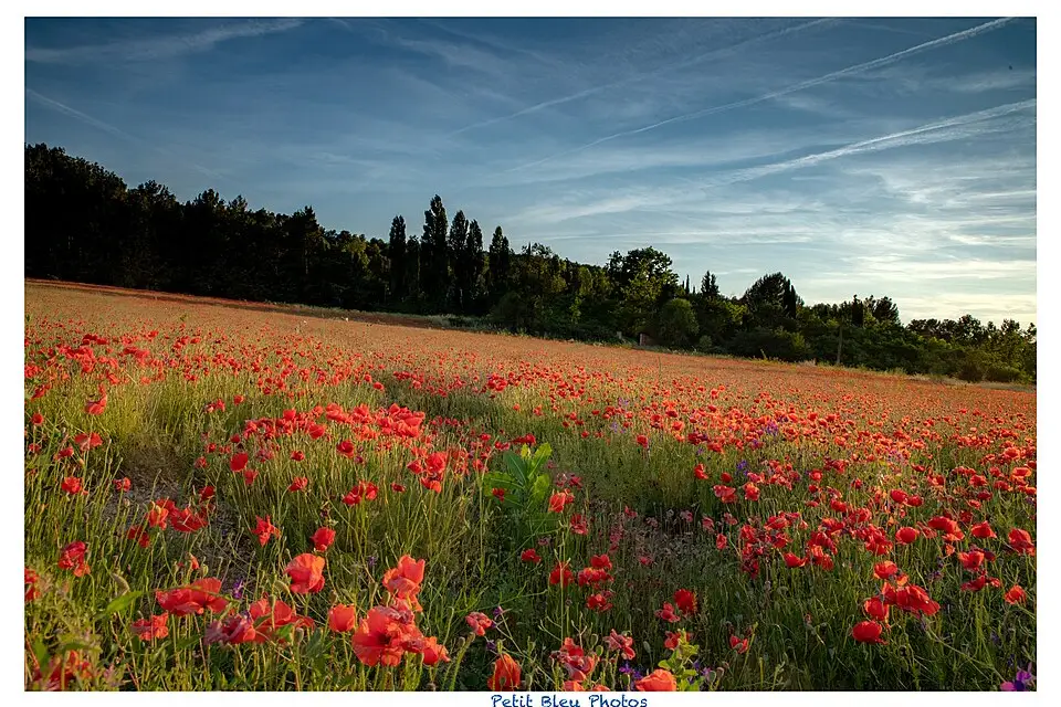 Stimmungsvolle Reiseansicht aus Provence für Busreise Provence mit Halbpension – Route & Leistungen