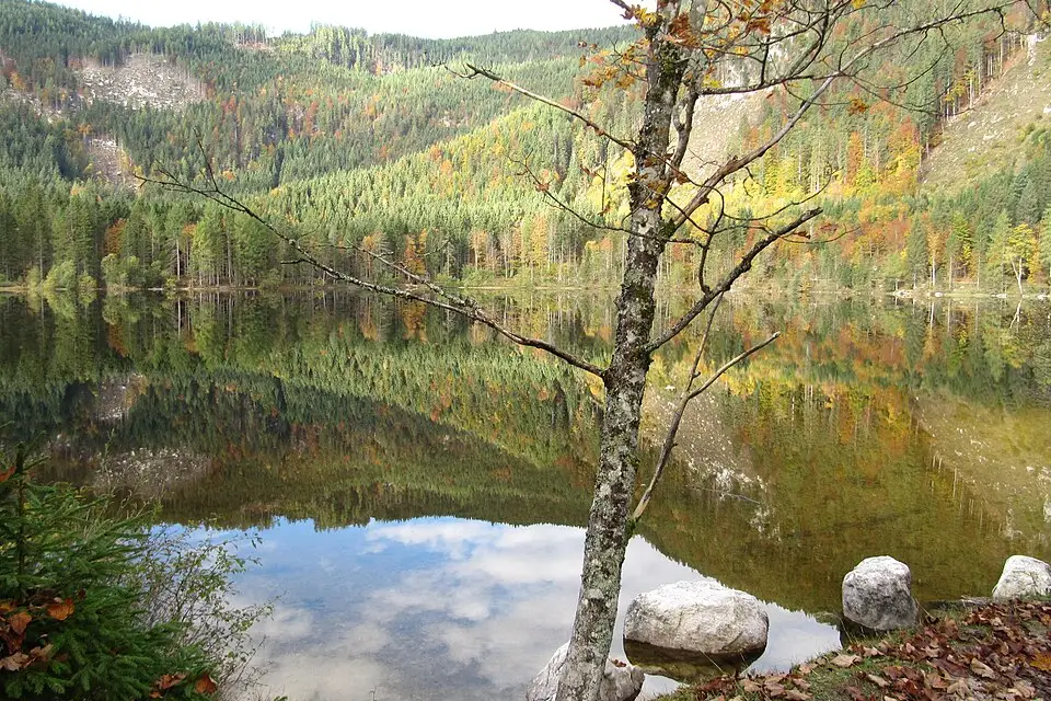 Stimmungsvolle Reiseansicht aus Salzkammergut für Busreise Salzkammergut im Herbst – Reiseguide