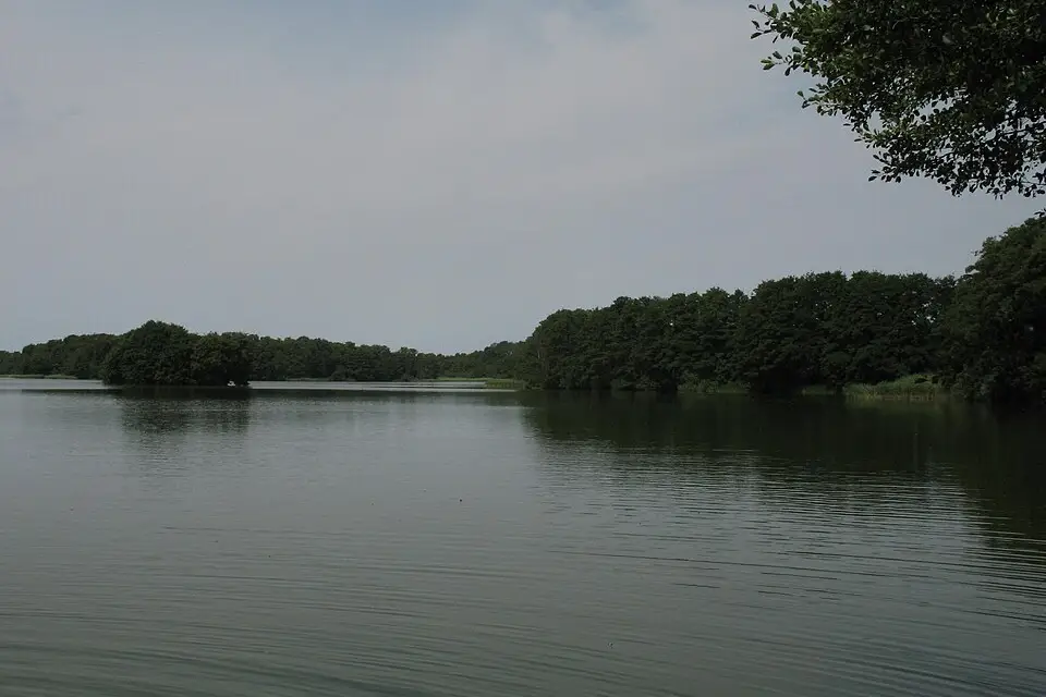 Authentischer Reisemoment in Mecklenburgischen Seenplatte – passend zu Kurzreise Mecklenburgische Seenplatte mit dem Bus – Reiseguide