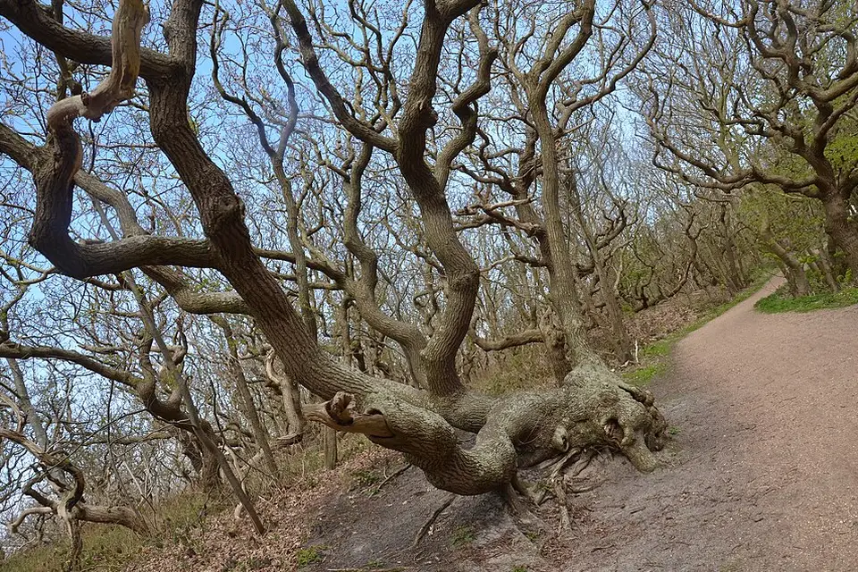 Landschaft und Sehenswürdigkeiten in Zeeland für Busreise Zeeland für Paare – Reisecheck