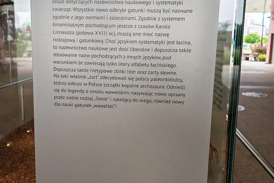 Stimmungsvolle Reiseansicht aus Krakau für Busreise Krakau mit wenig Gehstrecke – Route & Leistungen
