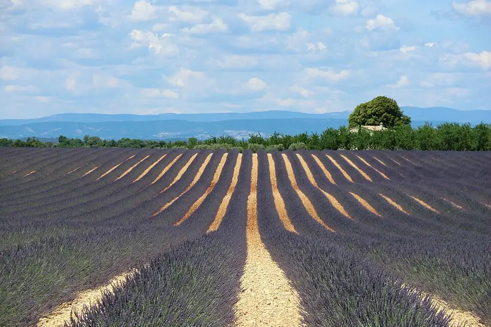 Landschaft und Sehenswürdigkeiten in Provence für Busreise Provence mit wenig Gehstrecke – Route & Leistungen
