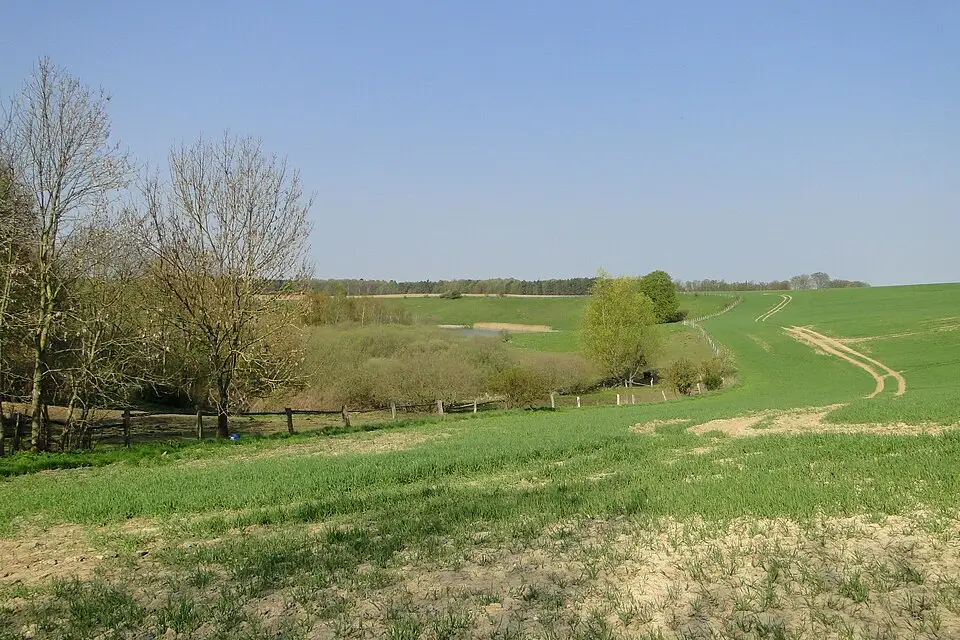 Stimmungsvolle Reiseansicht aus Mecklenburgischen Seenplatte für Busreise Mecklenburgische Seenplatte ab Frankfurt – Reiseguide