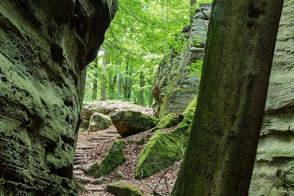 Stimmungsvolle Reiseansicht aus Luxemburg für Busreise Luxemburg – Tipps zur Auswahl