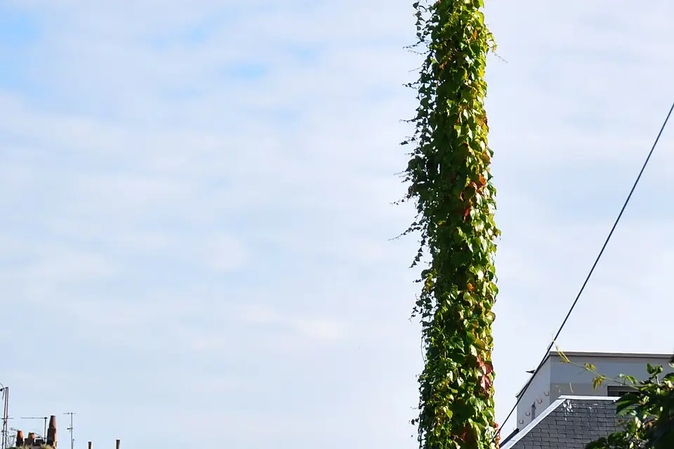 Authentischer Reisemoment in Normandie – passend zu Kulturreise Normandie mit dem Bus – Route & Leistungen