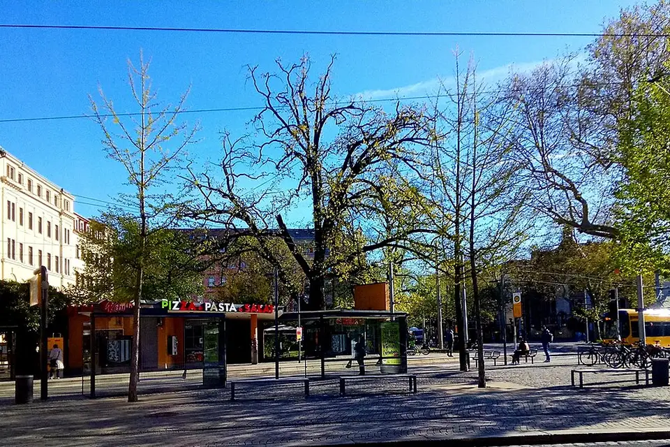 Stimmungsvolle Reiseansicht aus Dresden für Busreise Dresden mit 4-Sterne-Hotel – Tipps zur Auswahl