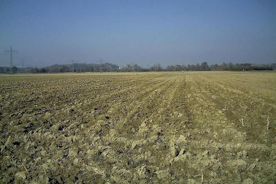 Landschaft und Sehenswürdigkeiten in Rhein für Busreise Romantischer Rhein im Herbst – ehrlich eingeordnet