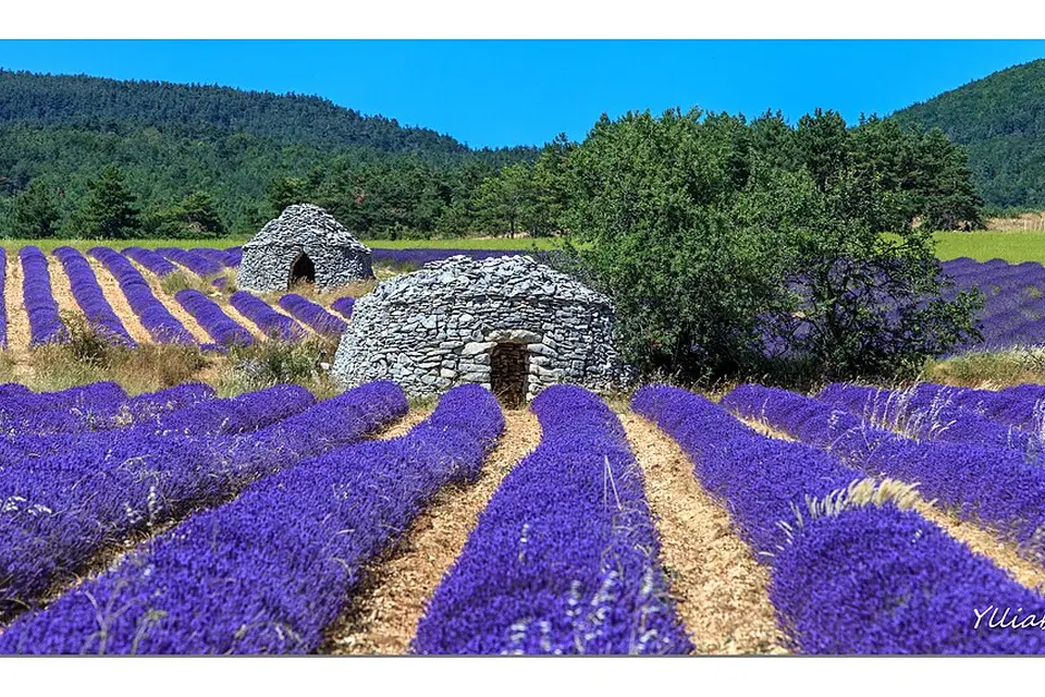 Landschaft und Sehenswürdigkeiten in Provence für Busreise Provence mit 4-Sterne-Hotel – Tipps zur Auswahl