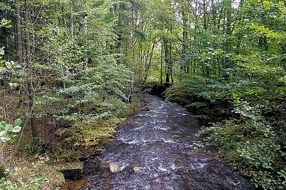 Landschaft und Sehenswürdigkeiten in Harz für Busreise Harz ab Frankfurt – Reiseguide