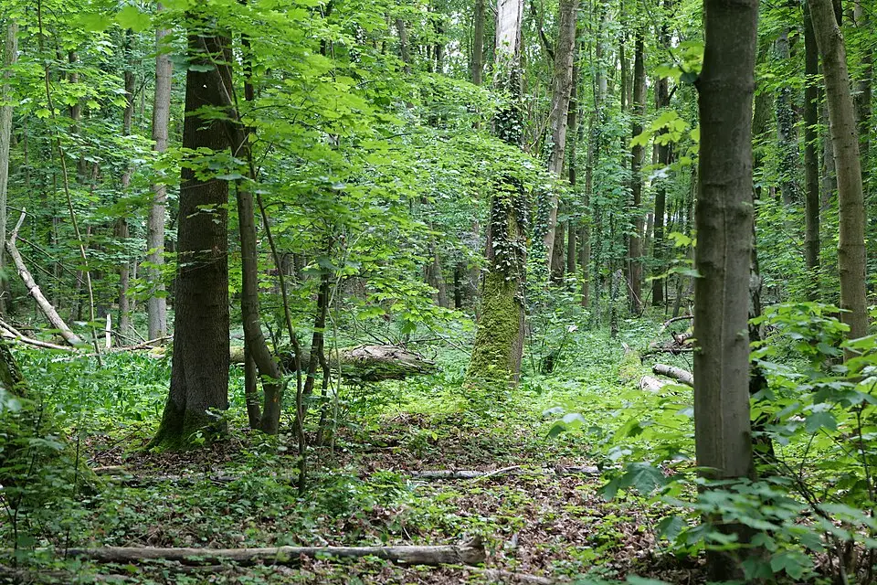 Landschaft und Sehenswürdigkeiten in Berlin für Rundreise Berlin mit dem Bus – Dauer & Komfort