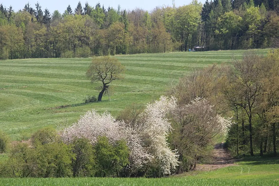 Landschaft und Sehenswürdigkeiten in Harz für Busreise Harz mit Rollator – ehrlich eingeordnet