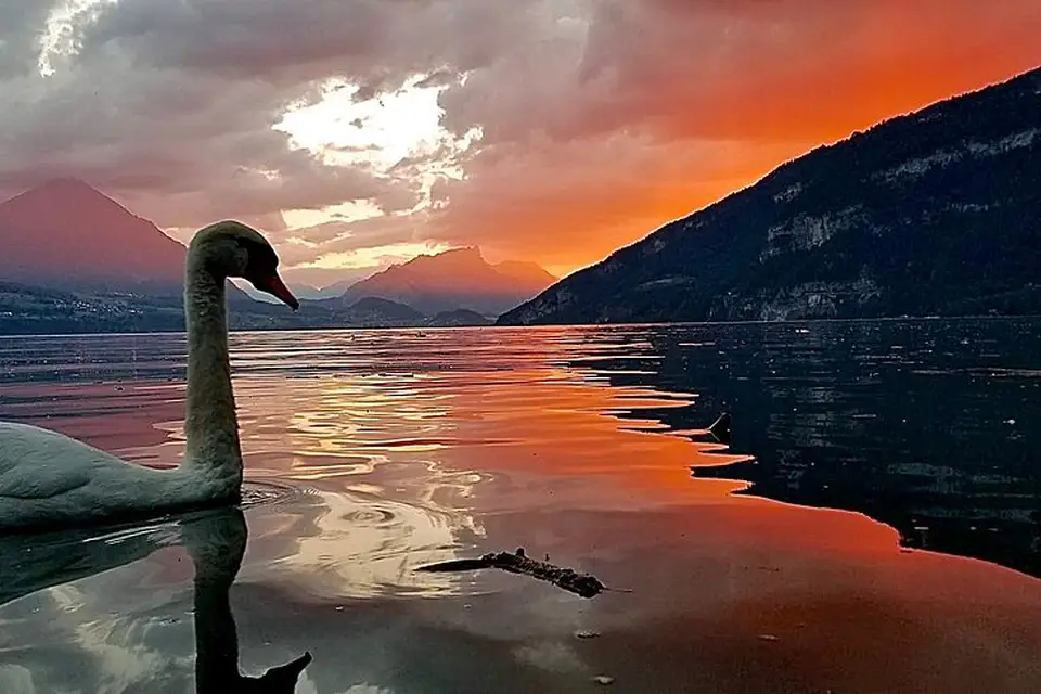 Landschaft und Sehenswürdigkeiten in Berner Oberland für Busreise Berner Oberland ohne Nachtfahrt – ehrlich eingeordnet