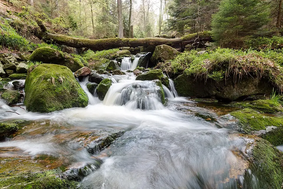 Landschaft und Sehenswürdigkeiten in Harz für Gruppenreise Harz mit dem Bus – Reisecheck