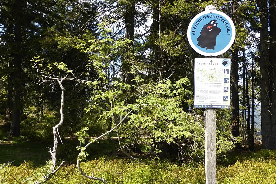 Stimmungsvolle Reiseansicht aus Bayerischen Wald für Kulturreise Bayerischer Wald mit dem Bus – Reiseguide