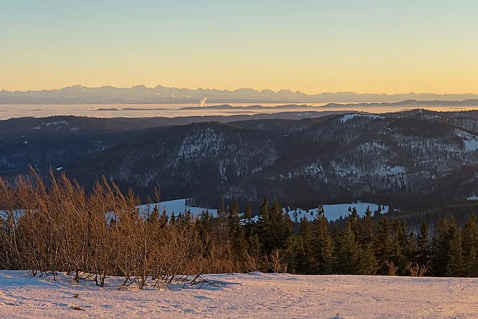 Authentischer Reisemoment in Schwarzwald – passend zu Naturreise Schwarzwald mit dem Bus – Route & Leistungen