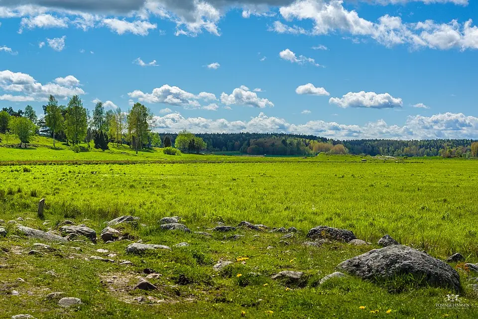 Authentischer Reisemoment in Stockholm – passend zu Busreise Stockholm mit viel Freizeit – Reiseguide